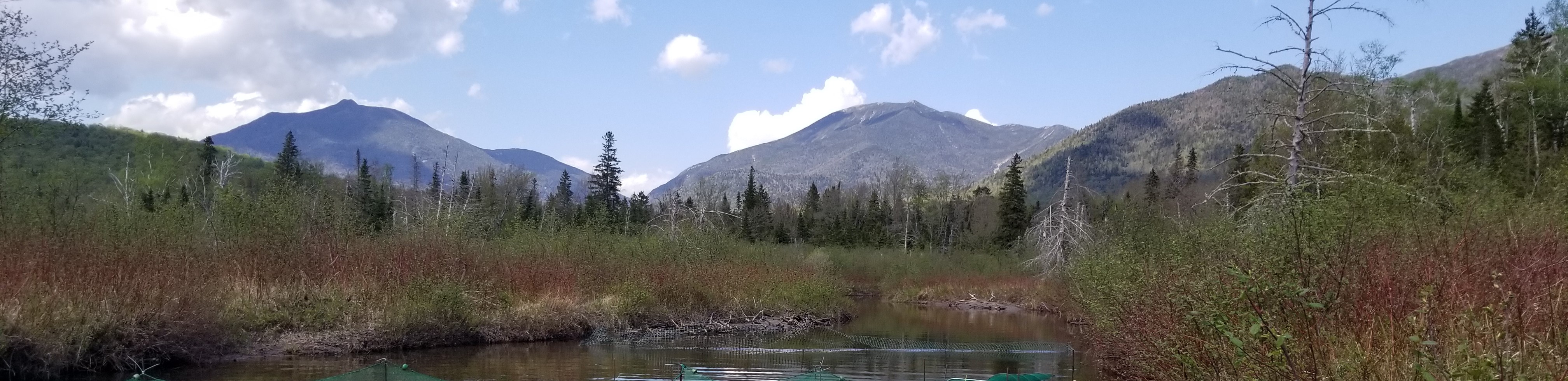cool adirondack banner picture